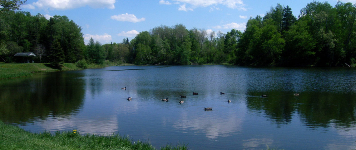 Mantle Lake Park